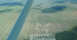 Fazenda Gigante à Venda 44.000 has Histórico de Alta Produtividade Infra Completa | Região do Araguaia/ PA