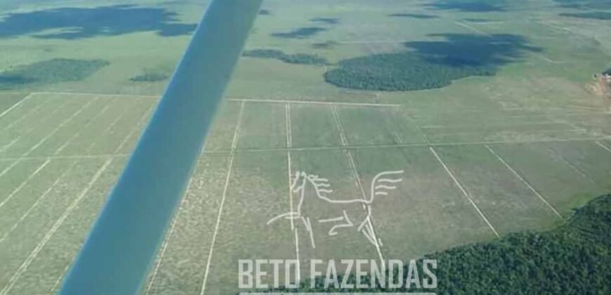 Fazenda Gigante à Venda 44.000 has Histórico de Alta Produtividade Infra Completa | Região do Araguaia/ PA