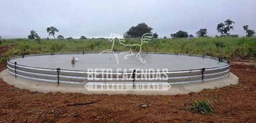 Fazenda Gigante à Venda 44.000 has Histórico de Alta Produtividade Infra Completa | Região do Araguaia/ PA