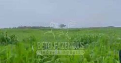 Fazenda Extraordinária à Venda 650 Alqueires Pecuária Lucrativa e Lazer | Colinas do Sul/ GO Fazenda Extraordinária à Venda 650 Alqueires Pecuária Lucrativa e Lazer | Colinas do Sul/ GO