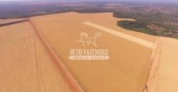 Fazenda à Venda 3.705 hectares Alta produtividade e Rentabilidade | Alto Boa Vista/MT