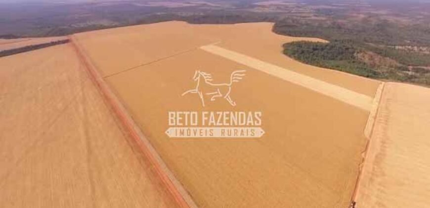 Fazenda à Venda 3.705 hectares Alta produtividade e Rentabilidade | Alto Boa Vista/MT