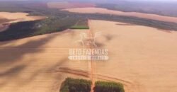 Fazenda à Venda 3.705 hectares Alta produtividade e Rentabilidade | Alto Boa Vista/MT