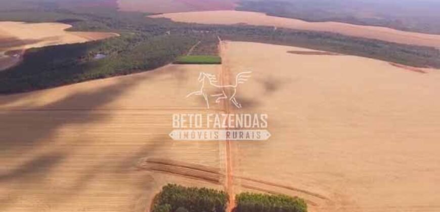 Fazenda à Venda 3.705 hectares Alta produtividade e Rentabilidade | Alto Boa Vista/MT