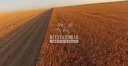 Fazenda à Venda 3.705 hectares Alta produtividade e Rentabilidade | Alto Boa Vista/MT