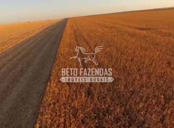 Fazenda à Venda 3.705 hectares Alta produtividade e Rentabilidade | Alto Boa Vista/MT