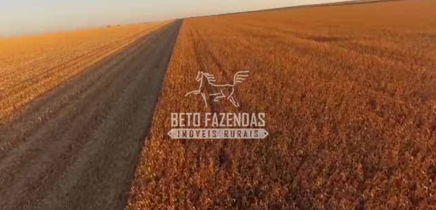 Fazenda à Venda 3.705 hectares Alta produtividade e Rentabilidade | Alto Boa Vista/MT
