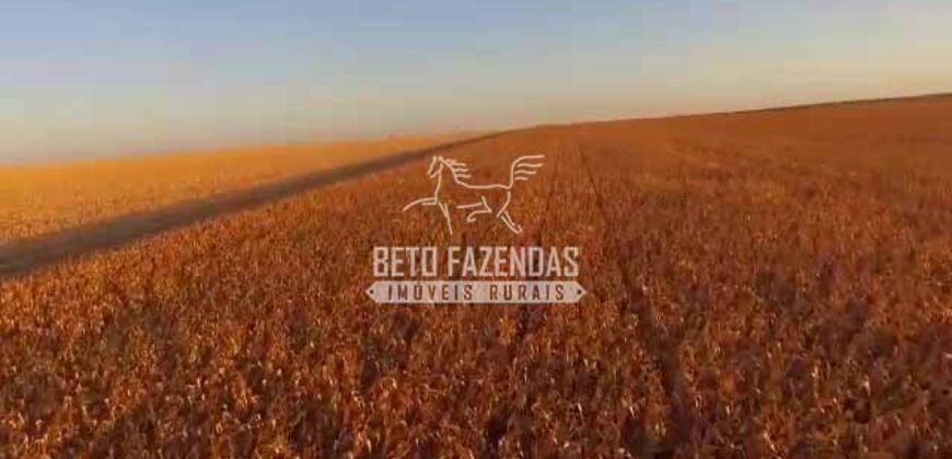 Fazenda à Venda 3.705 hectares Alta produtividade e Rentabilidade | Alto Boa Vista/MT