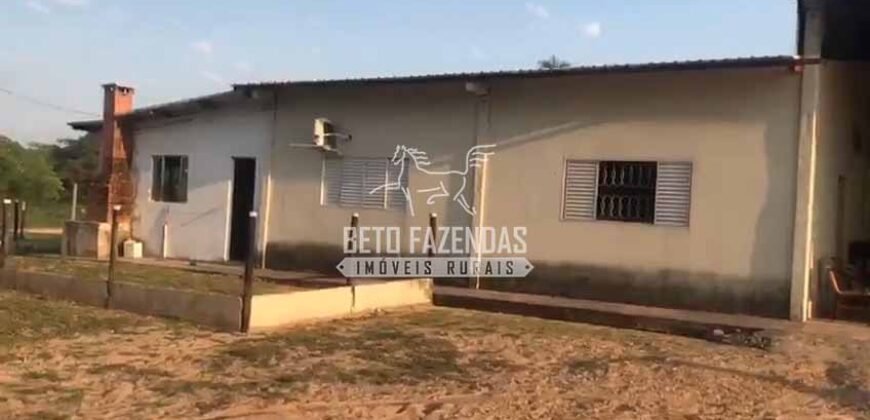 Fazendas Agrícolas à Venda 57.896 hectares em 3 Áreas com Aptidão Pecuária | Corumbá/MS