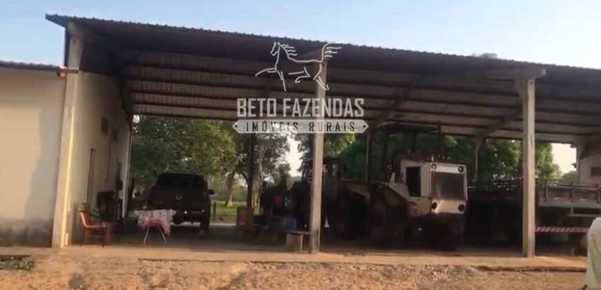 Fazendas Agrícolas à Venda 57.896 hectares em 3 Áreas com Aptidão Pecuária | Corumbá/MS