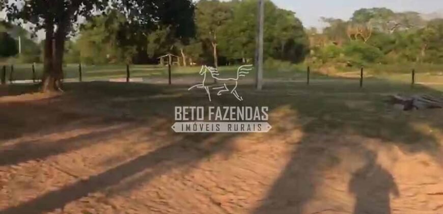 Fazendas Agrícolas à Venda 57.896 hectares em 3 Áreas com Aptidão Pecuária | Corumbá/MS