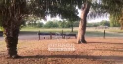 Fazendas Agrícolas à Venda 57.896 hectares em 3 Áreas com Aptidão Pecuária | Corumbá/MS