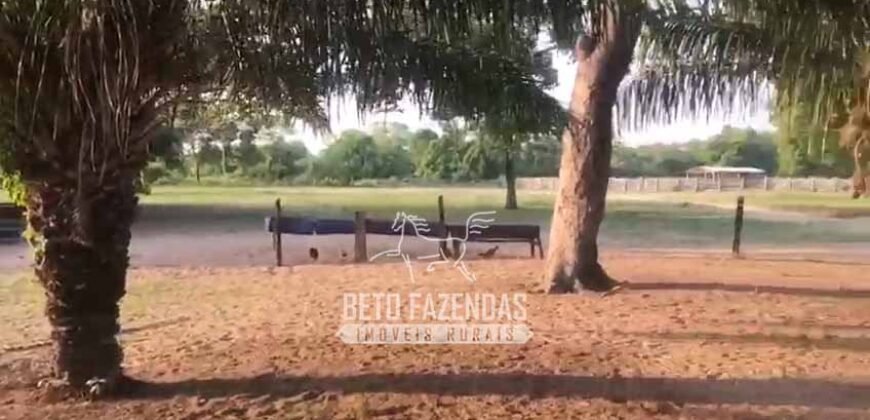 Fazendas Agrícolas à Venda 57.896 hectares em 3 Áreas com Aptidão Pecuária | Corumbá/MS