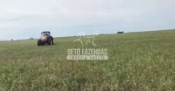 Fazendas Agrícolas à Venda 57.896 hectares em 3 Áreas com Aptidão Pecuária | Corumbá/MS