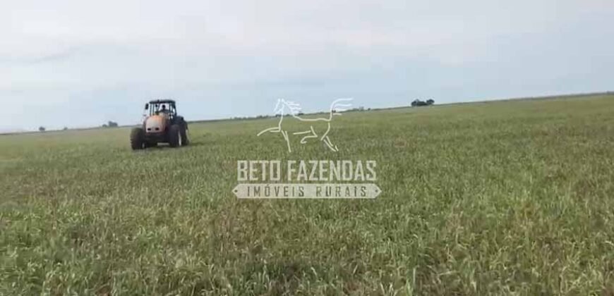 Fazendas Agrícolas à Venda 57.896 hectares em 3 Áreas com Aptidão Pecuária | Corumbá/MS