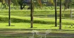 Fazenda à Venda 9.950 hectares Potencial para o Agronegócio | São Desidério/ BA