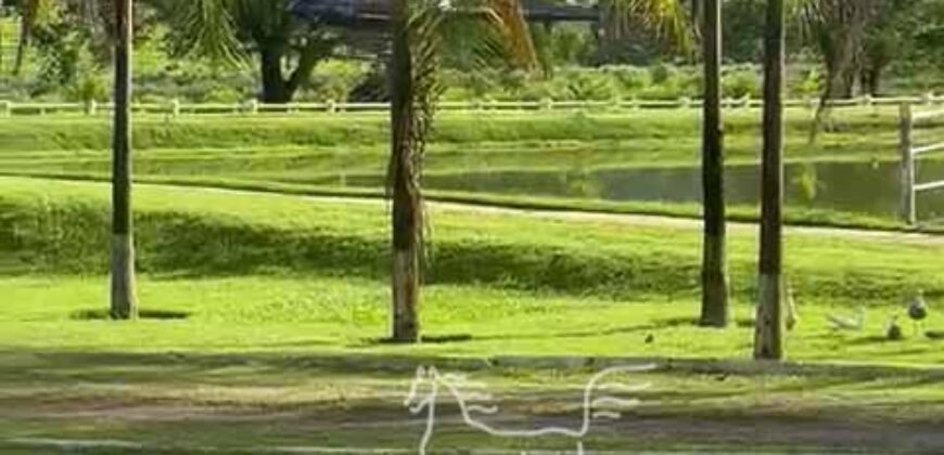 Fazenda à Venda 9.950 hectares Potencial para o Agronegócio | São Desidério/ BA