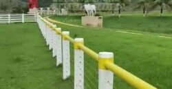 Fazenda Extraordinária à Venda 650 Alqueires Pecuária Lucrativa e Lazer | Colinas do Sul/ GO Fazenda Extraordinária à Venda 650 Alqueires Pecuária Lucrativa e Lazer | Colinas do Sul/ GO