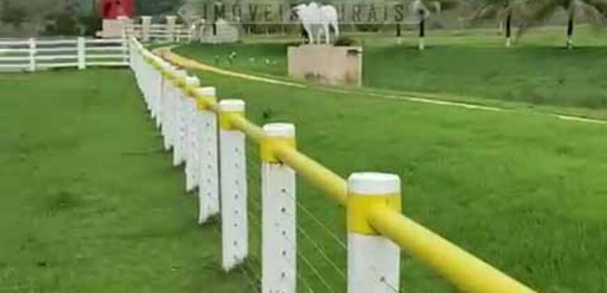 Fazenda Extraordinária à Venda 650 Alqueires Pecuária Lucrativa e Lazer | Colinas do Sul/ GO Fazenda Extraordinária à Venda 650 Alqueires Pecuária Lucrativa e Lazer | Colinas do Sul/ GO