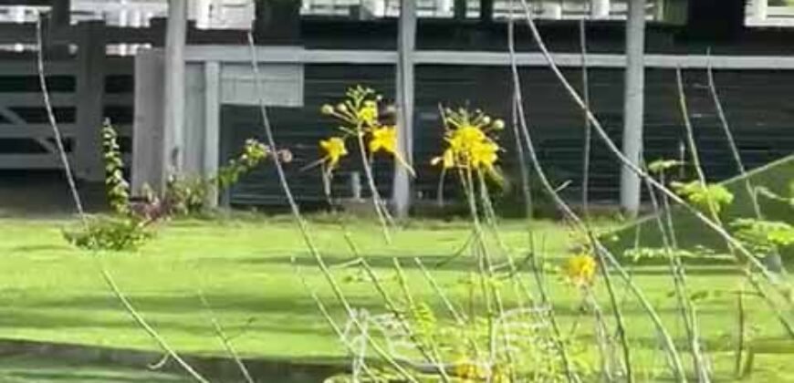 Fazenda à Venda 9.950 hectares Potencial para o Agronegócio | São Desidério/ BA