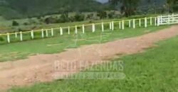 Fazenda Extraordinária à Venda 650 Alqueires Pecuária Lucrativa e Lazer | Colinas do Sul/ GO Fazenda Extraordinária à Venda 650 Alqueires Pecuária Lucrativa e Lazer | Colinas do Sul/ GO