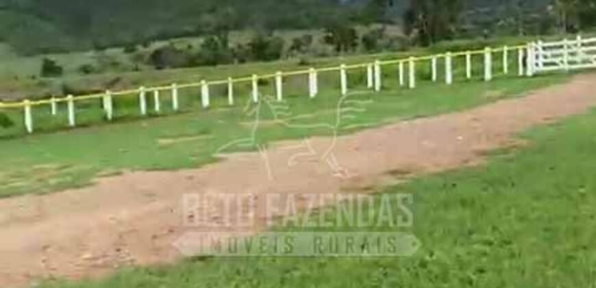 Fazenda Extraordinária à Venda 650 Alqueires Pecuária Lucrativa e Lazer | Colinas do Sul/ GO Fazenda Extraordinária à Venda 650 Alqueires Pecuária Lucrativa e Lazer | Colinas do Sul/ GO