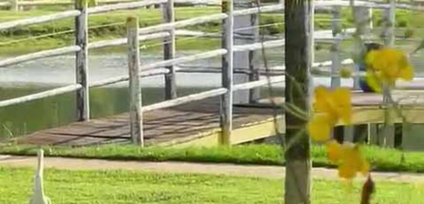 Fazenda à Venda 9.950 hectares Potencial para o Agronegócio | São Desidério/ BA