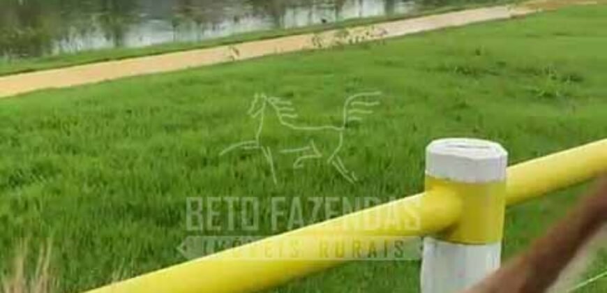 Fazenda Extraordinária à Venda 650 Alqueires Pecuária Lucrativa e Lazer | Colinas do Sul/ GO Fazenda Extraordinária à Venda 650 Alqueires Pecuária Lucrativa e Lazer | Colinas do Sul/ GO