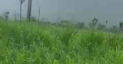 Fazenda à Venda 9.950 hectares Potencial para o Agronegócio | São Desidério/ BA