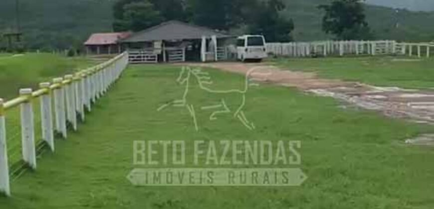 Fazenda Extraordinária à Venda 650 Alqueires Pecuária Lucrativa e Lazer | Colinas do Sul/ GO Fazenda Extraordinária à Venda 650 Alqueires Pecuária Lucrativa e Lazer | Colinas do Sul/ GO