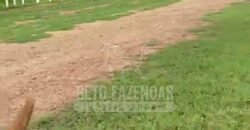 Fazenda Extraordinária à Venda 650 Alqueires Pecuária Lucrativa e Lazer | Colinas do Sul/ GO Fazenda Extraordinária à Venda 650 Alqueires Pecuária Lucrativa e Lazer | Colinas do Sul/ GO