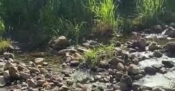 Fazenda à Venda 9.950 hectares Potencial para o Agronegócio | São Desidério/ BA