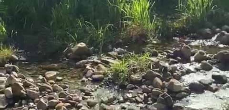 Fazenda à Venda 9.950 hectares Potencial para o Agronegócio | São Desidério/ BA