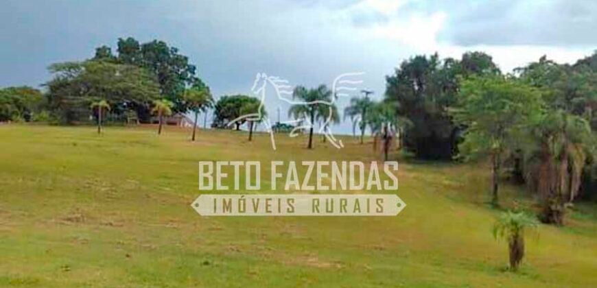 Fazenda Cinematográfica à Venda 2.662 has com Cinema, 20 Suítes e Muito Mais | Botucatu/SP