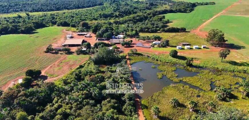 Fazenda à Venda 1.664,65 has Agrícola Extensa | Montes Claros de Goiás/GO Fazenda à Venda 1.664,65 has Agrícola Extensa | Montes Claros de Goiás/GO