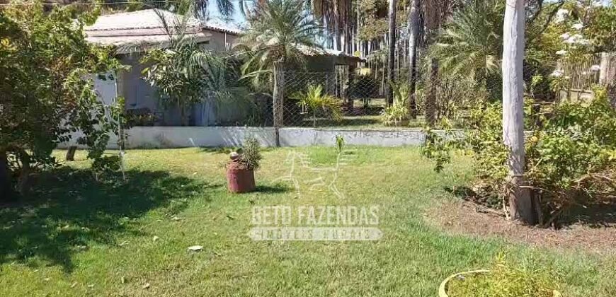 Fazenda à Venda 1.664,65 has Agrícola Extensa | Montes Claros de Goiás/GO Fazenda à Venda 1.664,65 has Agrícola Extensa | Montes Claros de Goiás/GO