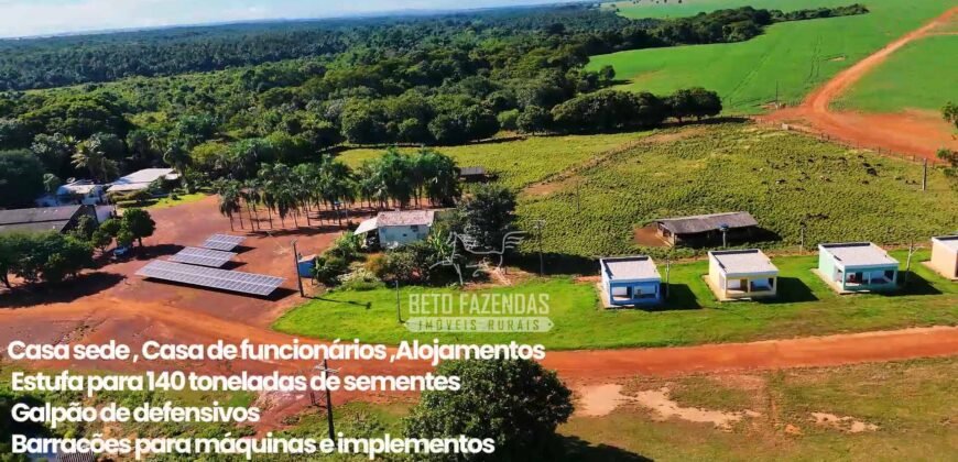 Fazenda à Venda 1.664,65 has Agrícola Extensa | Montes Claros de Goiás/GO Fazenda à Venda 1.664,65 has Agrícola Extensa | Montes Claros de Goiás/GO