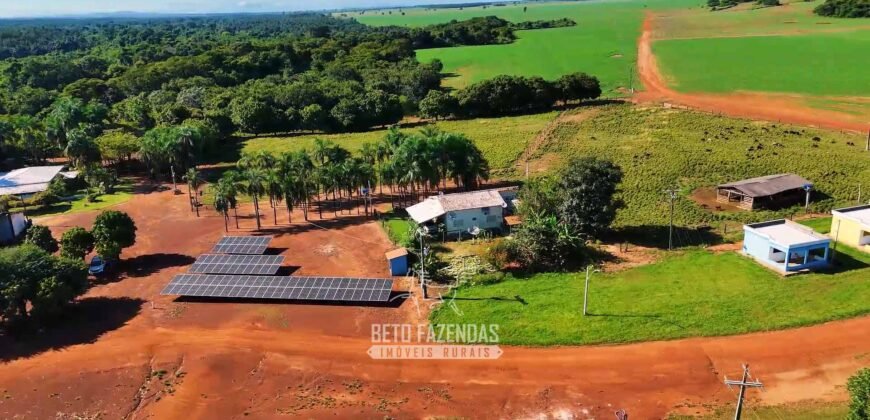 Fazenda à Venda 1.664,65 has Agrícola Extensa | Montes Claros de Goiás/GO Fazenda à Venda 1.664,65 has Agrícola Extensa | Montes Claros de Goiás/GO