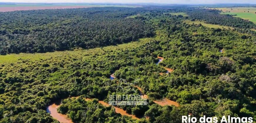 Fazenda à Venda 1.664,65 has Agrícola Extensa | Montes Claros de Goiás/GO Fazenda à Venda 1.664,65 has Agrícola Extensa | Montes Claros de Goiás/GO