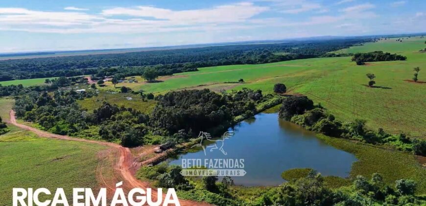 Fazenda à Venda 1.664,65 has Agrícola Extensa | Montes Claros de Goiás/GO Fazenda à Venda 1.664,65 has Agrícola Extensa | Montes Claros de Goiás/GO