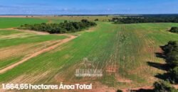 Fazenda à Venda 1.664,65 has Agrícola Extensa | Montes Claros de Goiás/GO Fazenda à Venda 1.664,65 has Agrícola Extensa | Montes Claros de Goiás/GO