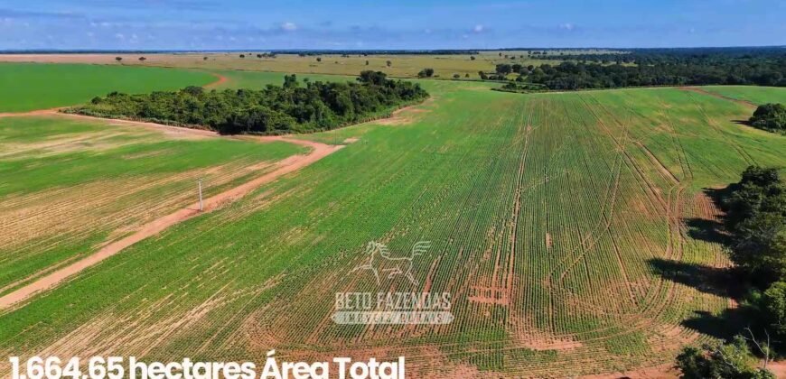 Fazenda à Venda 1.664,65 has Agrícola Extensa | Montes Claros de Goiás/GO Fazenda à Venda 1.664,65 has Agrícola Extensa | Montes Claros de Goiás/GO