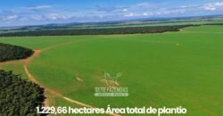 Fazenda à Venda 1.664,65 has Agrícola Extensa | Montes Claros de Goiás/GO Fazenda à Venda 1.664,65 has Agrícola Extensa | Montes Claros de Goiás/GO