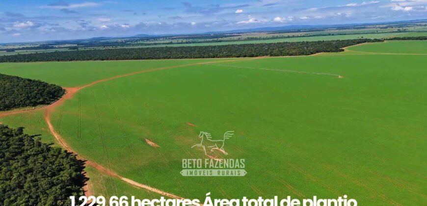 Fazenda à Venda 1.664,65 has Agrícola Extensa | Montes Claros de Goiás/GO Fazenda à Venda 1.664,65 has Agrícola Extensa | Montes Claros de Goiás/GO