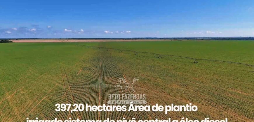 Fazenda à Venda 1.664,65 has Agrícola Extensa | Montes Claros de Goiás/GO Fazenda à Venda 1.664,65 has Agrícola Extensa | Montes Claros de Goiás/GO