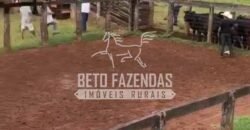 Fazenda 3.500 has à Beira do Rio São Francisco | Manga/ MG Fazenda 3.500 has à Beira do Rio São Francisco | Manga/ MG