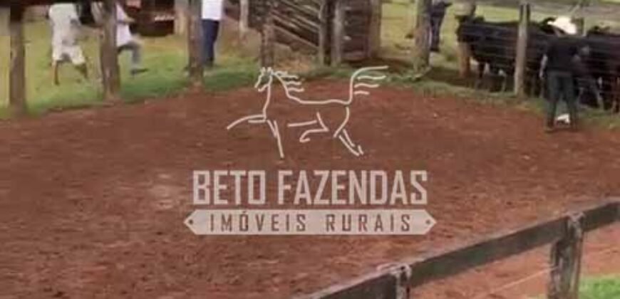 Fazenda 3.500 has à Beira do Rio São Francisco | Manga/ MG Fazenda 3.500 has à Beira do Rio São Francisco | Manga/ MG