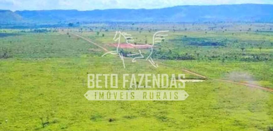 Fazenda Gigante no Pará 59.000 has Porteira Fechada | Cumaru do Norte/ PA Fazenda Gigante no Pará 59.000 has Porteira Fechada | Cumaru do Norte/ PA