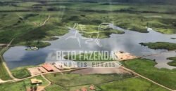 Fazenda Gigante no Pará 59.000 has Porteira Fechada | Cumaru do Norte/ PA Fazenda Gigante no Pará 59.000 has Porteira Fechada | Cumaru do Norte/ PA