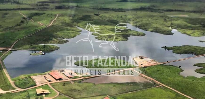 Fazenda Gigante no Pará 59.000 has Porteira Fechada | Cumaru do Norte/ PA Fazenda Gigante no Pará 59.000 has Porteira Fechada | Cumaru do Norte/ PA